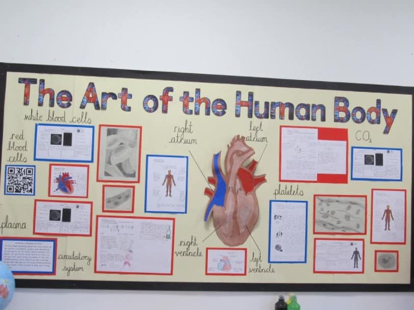 Medium Term Plan Science Holy Trinity C of E Primary